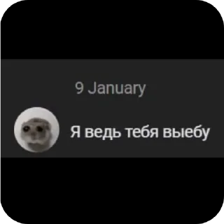 Video sticker 👍 Стикеры Нетряпочного