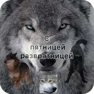 Telegram sticker 🖼 Стикеры Нетряпочного