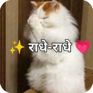 Sticker 🐱 Billo Rani 🪐 ::
