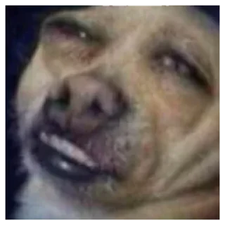 Video sticker 🤨 satoru