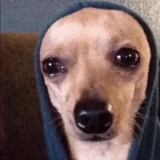 Telegram sticker 😐 △Freemasons△@exempiternal