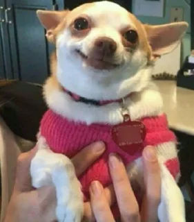 Telegram sticker 😂 △Freemasons△@exempiternal