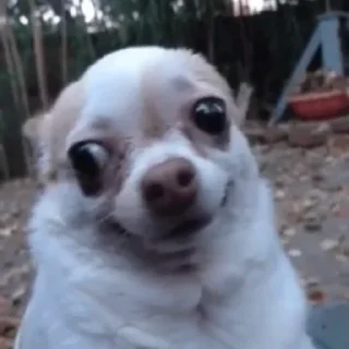 Telegram sticker 😄 △Freemasons△@exempiternal