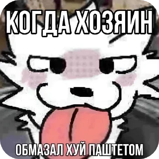 Telegram sticker 🫣 𝙱𝚘𝚢𝚔𝚒𝚜𝚜𝚎𝚛 @Fur1ry