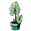 Sticker 🍀 @aloplants