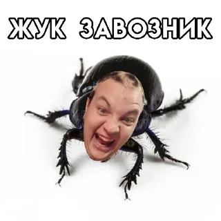 Video sticker 🔊 Набор 42 Братухи от @PashaFireBoom
