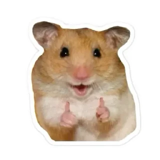 Telegram sticker 😊 HAMSTER PACK