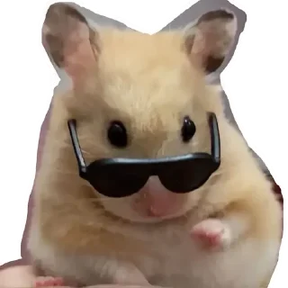 Telegram sticker 😊 HAMSTER PACK