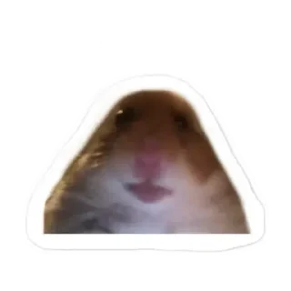 Telegram sticker 😊 HAMSTER PACK