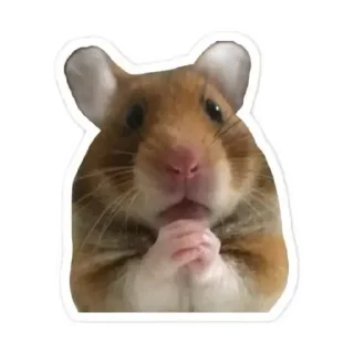 Video sticker 😊 HAMSTER PACK