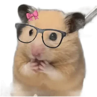 Telegram sticker 😊 HAMSTER PACK