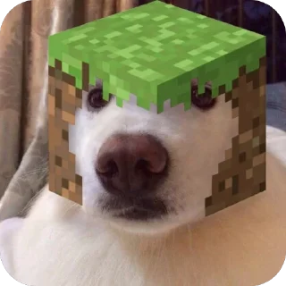 Video sticker 🫥 ДЁРН СЕРВЕР :: @fStikBot