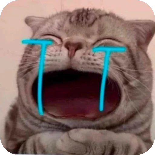 Telegram sticker 👍 Milli bobby 🌺 @Rupeerush80