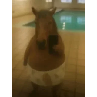 Video sticker 🐴 Nonchalant horse