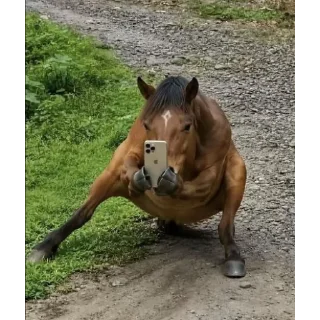 Video sticker 🐴 Nonchalant horse