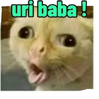 Telegram sticker 😯 BHAKCHODI🫦