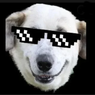 Video sticker 😎 True crime memes