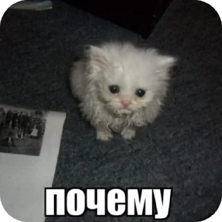 Telegram sticker 🥺 Все стикеры тг кликай и бери 👉 @stiki_tg_nah_canal