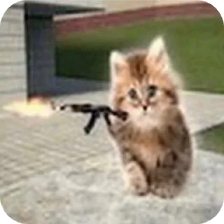 Telegram sticker 🔫 Все стикеры тг кликай и бери 👉 @stiki_tg_nah_canal