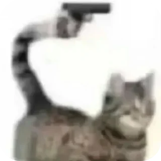 Telegram sticker 🔫 Все стикеры тг кликай и бери 👉 @stiki_tg_nah_canal