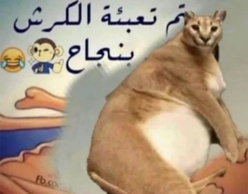 Телеграм стикер 😋 @ixxrn