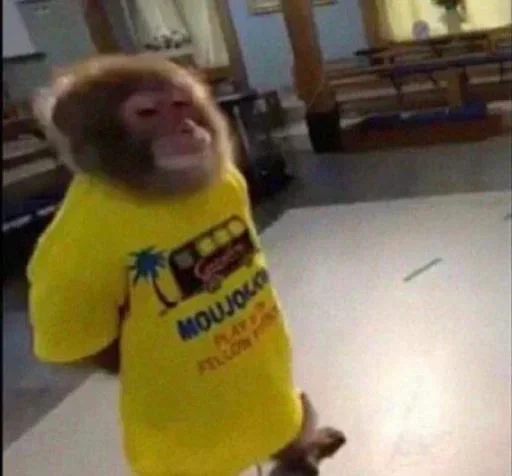 Телеграм стикер 🐵 @ixxrn