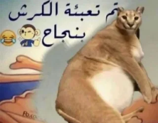 Video sticker 😋 @ixxrn