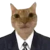 Sticker 👩‍💼 танечкины эмодзи