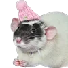 Sticker 🐁 танечкины эмодзи