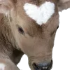 Sticker 🐄 танечкины эмодзи