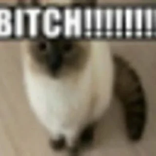 Telegram sticker 😾 Киці😈😈 :: @fStikBot