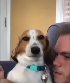 Video sticker 🌟 𝑣𝑎𝑙’𝑠 𝑝𝑎𝑐𝑘💋🍑 :: @fStikBot