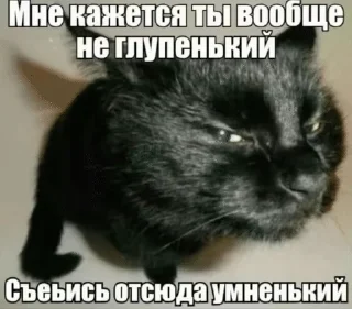 Telegram sticker 🌟 до :: @fStikBot