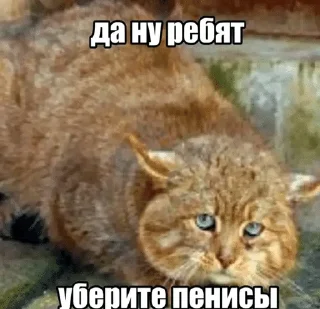 Telegram sticker 🌟 до :: @fStikBot