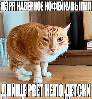 Video sticker 🌟 до :: @fStikBot