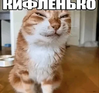 Telegram sticker 🌟 до :: @fStikBot