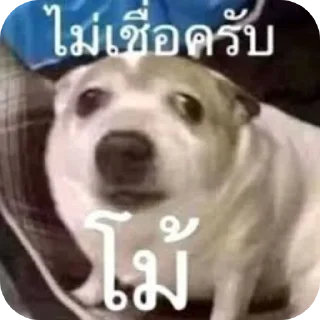 Telegram stiker 🐶 Karee