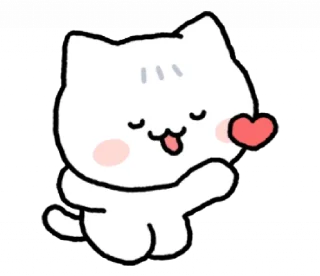 Video sticker 😘 𓆩 коти (мы!) | ➩ tg: @wexsavi 🐾