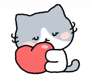 Video sticker ❤️ 𓆩 коти (мы!) | ➩ tg: @wexsavi 🐾