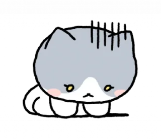 Телеграм стикер 😓 𓆩 коти (мы!) | ➩ tg: @wexsavi 🐾