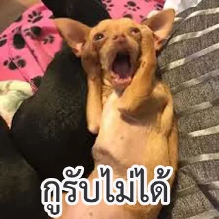 Telegram sticker 😱 🐿 Fast Chipmunk :: @fStikBot