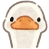Video sticker 🦆 ₍ R᧐ᥙᥒɗ �...