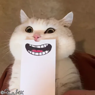 Video sticker 😂 Goku @U1773_106