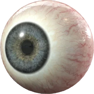 Telegram sticker 👁 Aleatórios