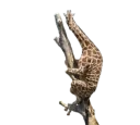 Telegram sticker 👀 Aleatórios