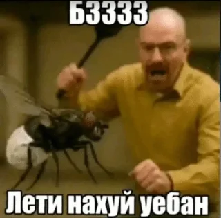 Telegram sticker 🌟 Мемная херь от Тимура