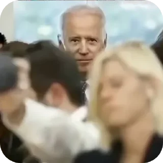 Video sticker 🐶 Грыжа @shporkkk