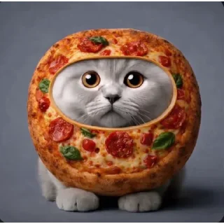 Telegram sticker 🐱 Круглые коты | @BLBstickers , @BLBTGK