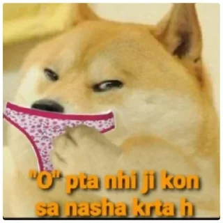 Telegram sticker 😂 TorMaaikeBoor💅