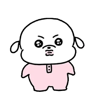 Video sticker 👍 @KakaoEmoji 복슬임다